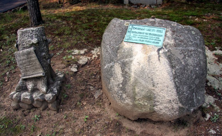 Ephraim Wales Bull grave