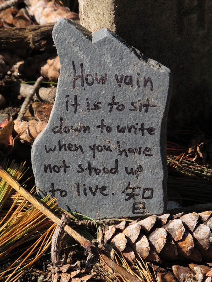 Quotation on stone, Thoreau's grave