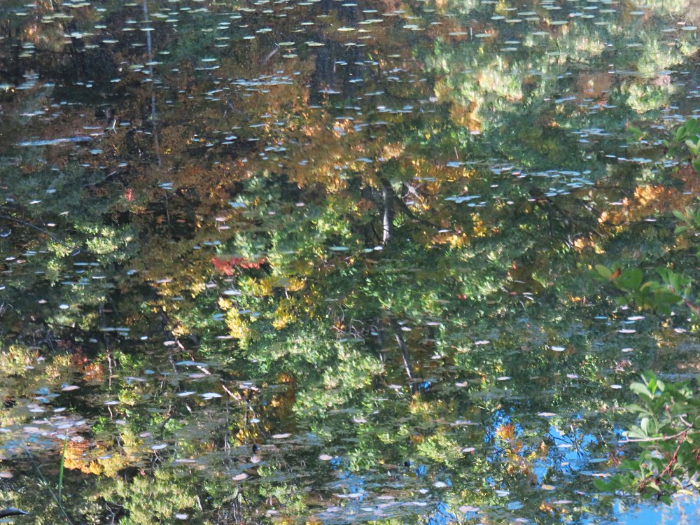 Fairyland Pond Impressionism