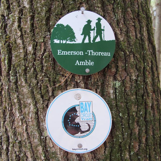 Markers for Emerson-Thoreau Amble & Bay Circuit Trail