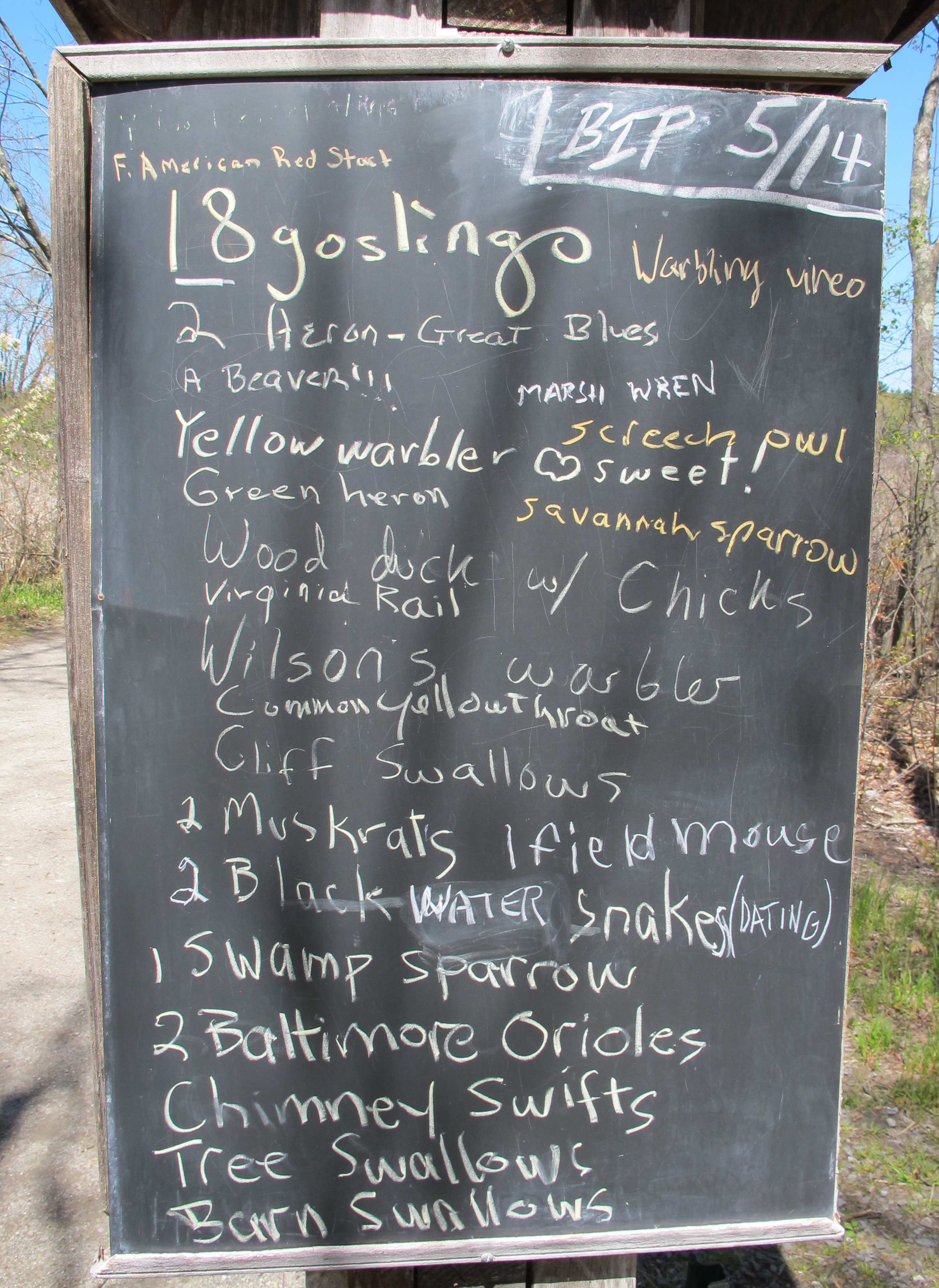 The bird-sightings board at Great Meadows