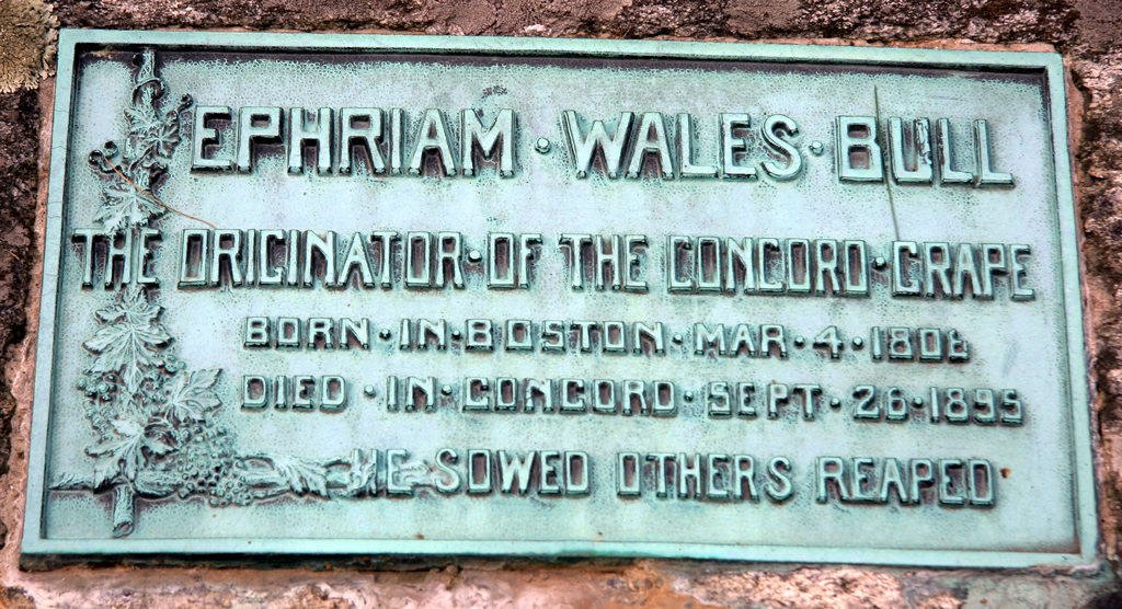 Ephraim Wales Bull grave