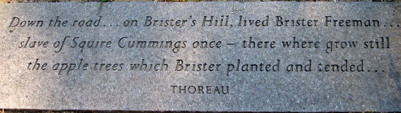 Thoreau on Brister Freeman
